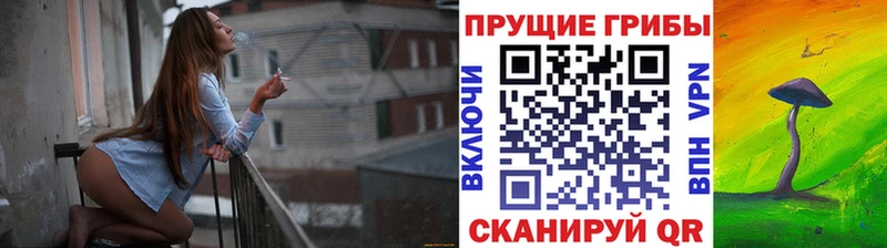 Псилоцибиновые грибы мицелий  Купить закладки  Гвардейск 